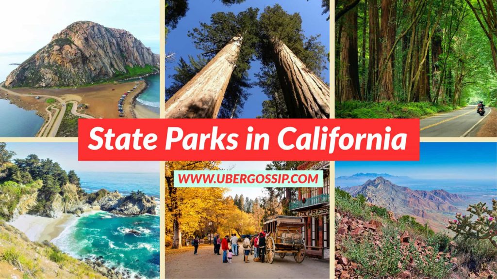 best national parks, best national parks in California state, best national parks in USA, California city travel guide, California national parks, California national parks map, California parks, California state parks, California travel guide, list of us national parks, map of national parks in California, map of us national parks, National Parks in California, National Parks in California State, national parks in eastern us, national parks map, national parks near California, things to do in California, things to do in California for teens, things to do in California in April, things to do in California in January, things to do in California in September, top national parks in us, uber travel guide