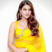 Nidhhi Agerwal Height, Weight, Age, Body Statistics (Indian Celebrities)