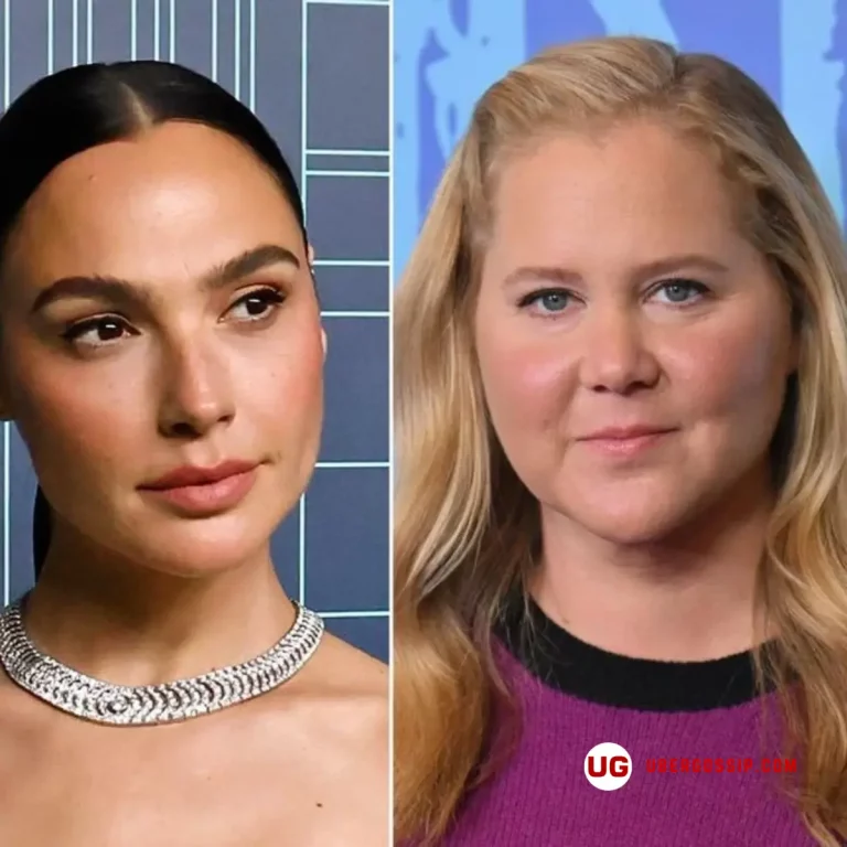 Gal Gadot, Amy Schumer and Jerry Seinfeld among more than 700 entertainment leaders voicing support for Israel in open letter